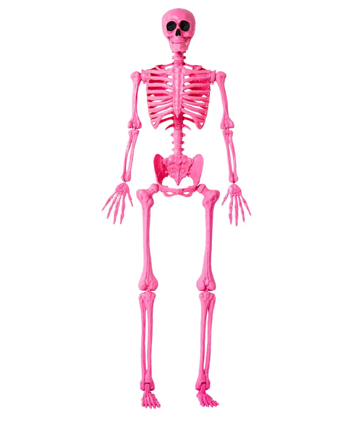 pink skeleton