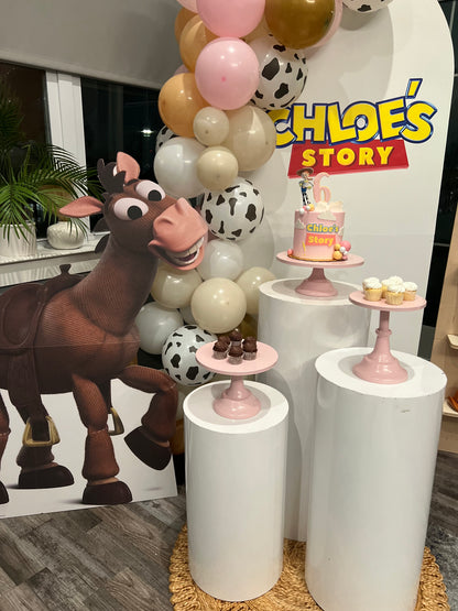 Toy Story Theme-Kids Party Bundle, Custom Coloring Books, Characters, Pizza Boxes and Gift Boxes